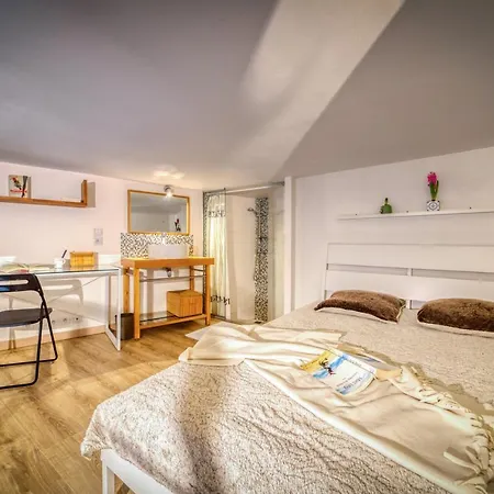 Charmant Petit Duplex _ 24m2 * La Tronche (Isere)