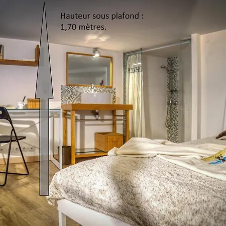 Charmant Petit Duplex _ 24m2 Appartamento La Tronche (Isere)
