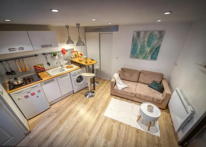Charmant Petit Duplex _ 24m2 Appartamento *