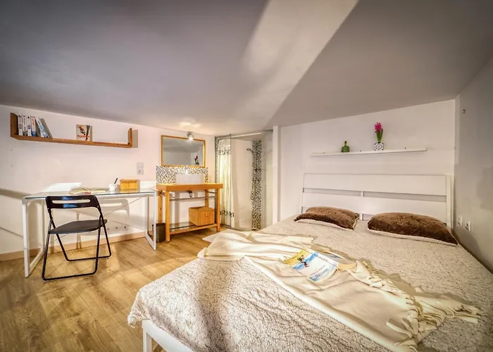 Charmant Petit Duplex _ 24m2 * La Tronche (Isere)