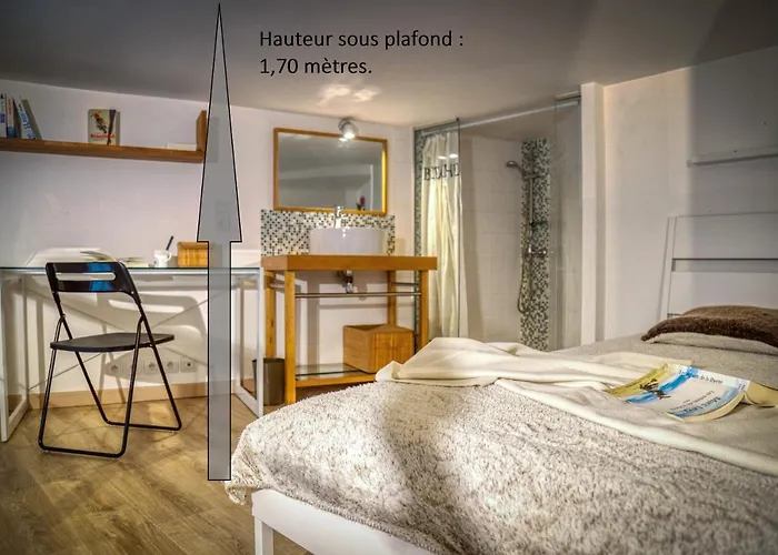 Charmant Petit Duplex _ 24m2 Appartamento La Tronche (Isere)